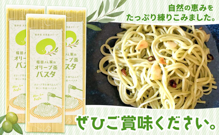 オリーブ 茶 パスタ 3袋 セット 福田さん家のオリーブ園。《30日以内に出荷予定(土日祝除く)》手延べ 麺 冷麺 サラスパ 茹で 塩 不要 乳酸菌 天草 苓北 熊本 送料無料