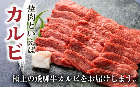 白川郷 飛騨牛 カルビ（肩バラ肉）焼肉用 500g カルビ [S335]