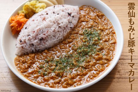 冷凍スパイスカレー 4種 計6食セット キーマ グリーン チキン ポーク 詰め合わせ 食べ比べ / カレーライフ / 長崎県 雲仙市