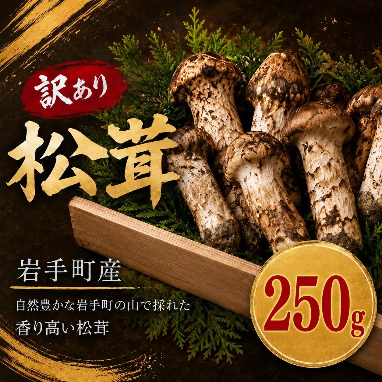【先行予約】松茸 訳あり 250g 岩手町産 松茸