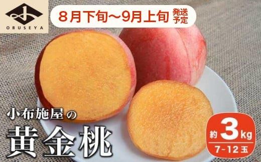 
                  黄金桃 約3kg 7～12玉 ［小布施屋］ 桃 もも モモ フルーツ 果物 令和8年産 【2026年8月下旬～9月上旬発送】 ［A-11］
                