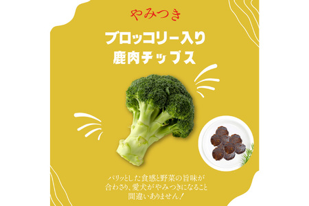 ドッグフード 無添加 FUJIDOG ブロッコリー入り鹿肉チップス 100g
