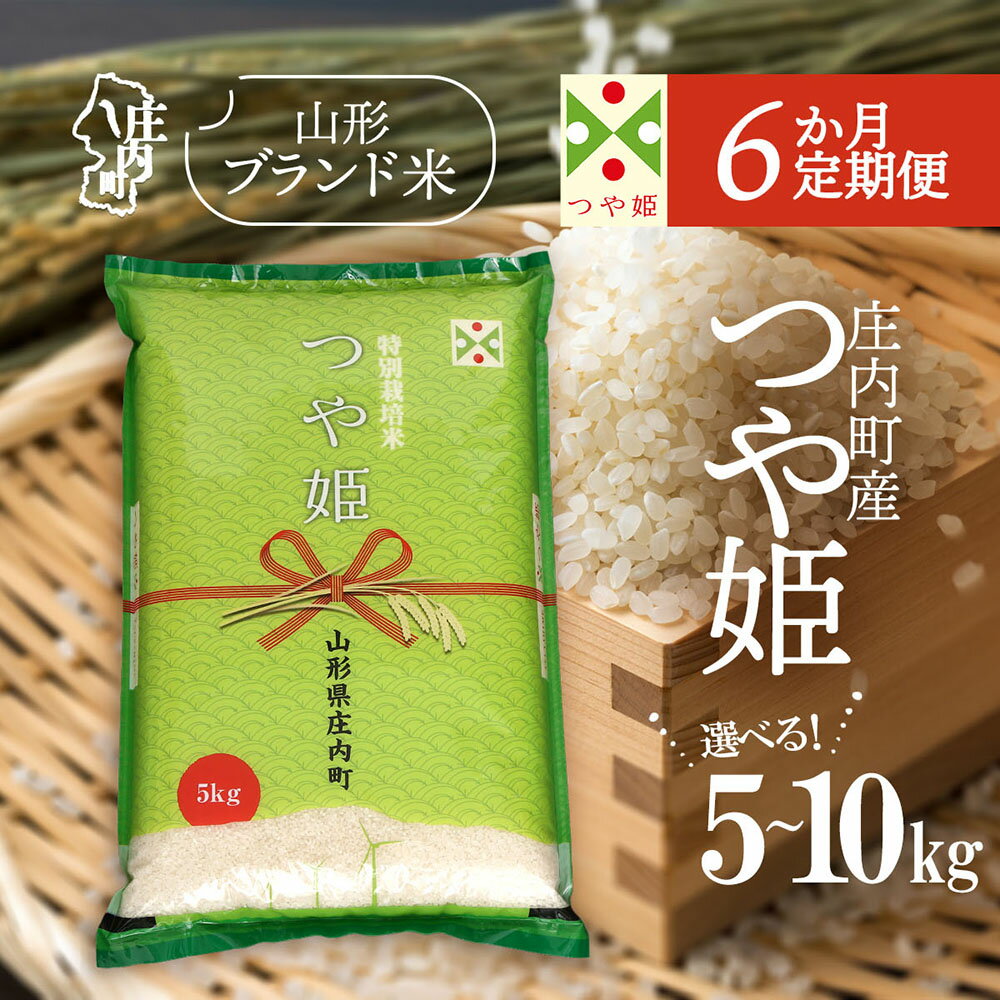 【ふるさと納税】【6か月定期便】庄内米 特別栽培米 つや姫 選べる配送開始月 内容量 5kg / 6kg / 10kg 令和7年産 / 令和8年産 ブランド米 米 山形 庄内平野 コシヒカリの原点、亀の尾発祥の地 庄内 お米の定期便 ふるさと納税 定期 山形県【毎月下旬発送】