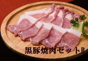 【ふるさと納税】北海道 黒豚焼肉セットB（2.4kg）ハンバーグ10個、味噌漬け付　C012-3-1