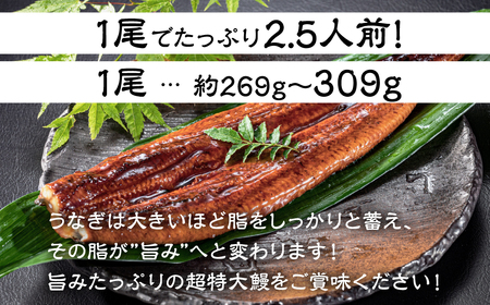 超絶うなぎ蒲焼　超特大 4尾