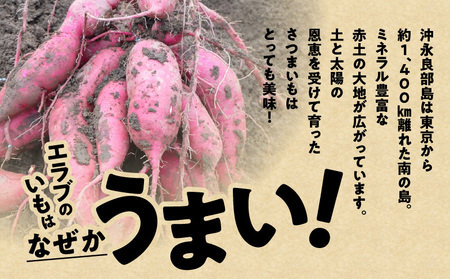 erabu chips （ さつまいも ） 40箱 セット C068-002-40 ポテトチップス 菓子 お菓子 アレルゲンフリー