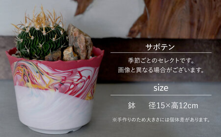 多治見市×春日井市コラボ 【美濃焼】 陶芸家「北川和喜」 marble 高台植木鉢 L × 【日本有数のサボテンの生産地】 春日井市の名店 後藤サボテン 【井澤コーポレーション】[TBP172]