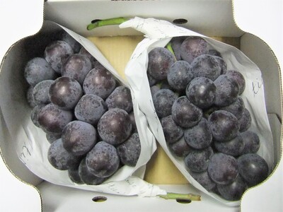 ぶどう（種なしピオーネ）２～３房　0030-2505