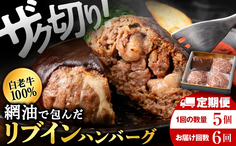 
                  【6ヶ月定期便】白老牛　中おちプレミアムハンバーグ200g×5個【かねかん】
                