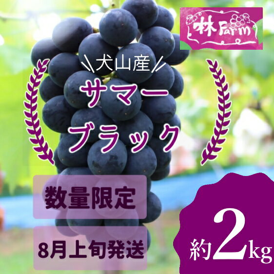 【ふるさと納税】【期間限定・数量限定】林ファーム園主イチオシ！犬山産 極甘 サマーブラック 約2キロ（先行予約） ｜ ぶどう 甘い 2キロ 限定 夏 林ファーム 房 ブドウ 大粒 犬山 珍しい 贈答 プレゼント ご褒美 進物