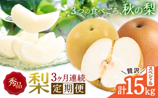 【3ヶ月定期便】梨 定期便 秀品 3ヶ月連続 梨の定期便 スペシャル 計15kg 日本フルーツ株式会社《8月上旬-10月末頃出荷》熊本県 長洲町 なし ナシ 豊水梨 秋月梨 新高梨 果物 フルーツ