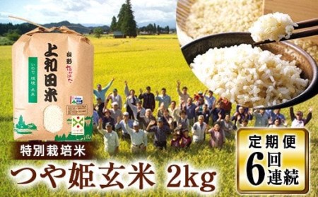 【定期便6回】令和6年度 山形県 高畠町産 特別栽培米 つや姫 玄米 2kg×6回 お米 ブランド米 米 ごはん ご飯 F21B-242