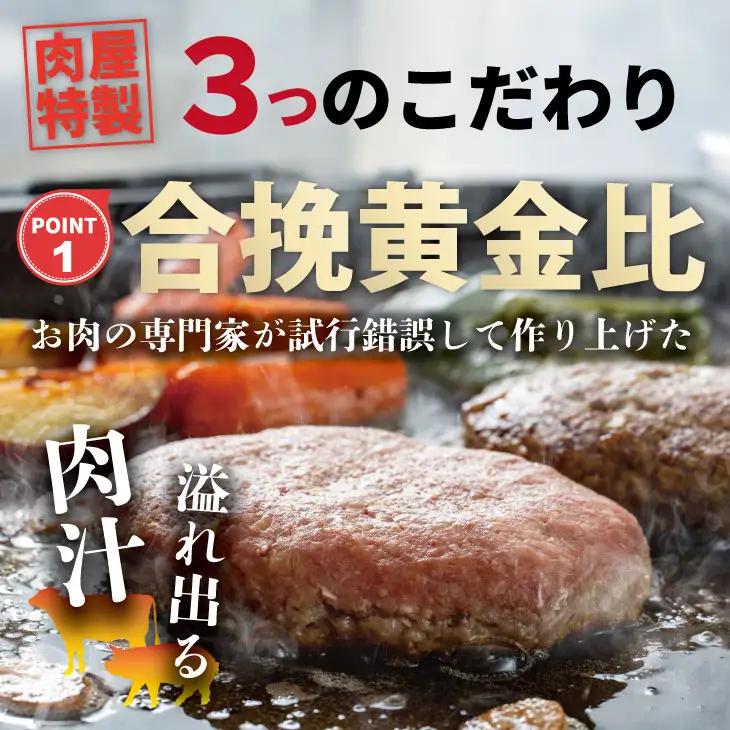 肉屋特製 佐賀牛入ハンバーグ 20個 ハンバーグ  B150-028