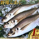 【ふるさと納税】天然一本釣りアジ【野母んあじ】 アジ 神経抜き 活き締め 刺身 さかな サカナ 焼き魚 魚介類 海産物 鮮魚 新鮮 冷蔵 長崎県 長崎市 送料無料