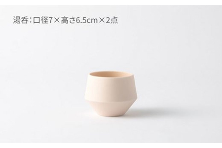 【美濃焼】frustum 土瓶煎茶3点セット（素焼風）【晋山窯ヤマツ】【TOKI MINOYAKI返礼品】≪土岐市≫ 茶器 茶器セット 急須 ポット ティーポット 湯吞み 湯吞 ゆのみ ユノミ 煎茶 