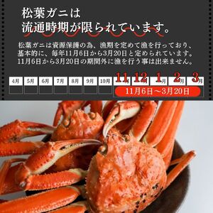 【倉吉魚市】ボイル松葉がに（特大）ボイル前 1kg以上 松葉ガニ ズワイガニ