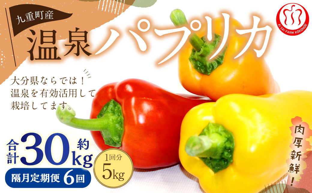 
                  【隔月6回定期便】 大分県 九重町産 温泉パプリカ 計約30kg（約5kg×6回）パプリカ 野菜 やさい
                