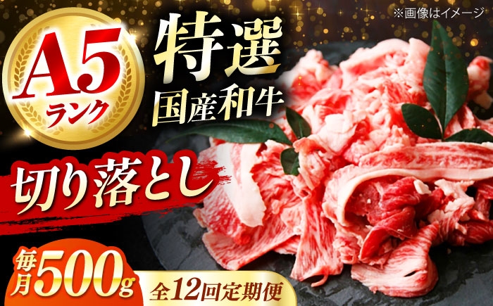 
                  【全12回定期便】 和牛 国産和牛切落し 500ｇ 肉 お肉 国産 和牛 牛肉 切り落とし 冷凍 ギフト ストック A5ランク 国産和牛切落し 肉 お肉 国産 和牛 牛肉 切り落とし 冷凍 ギフト ストック A5ランク 贈答 ギフト 贈り物 人気 定番 おすすめ 定期便 特産品 取り寄せ お取り寄せ 大阪府高槻市/株式会社ミートモリタ屋 [AOAI052]
                