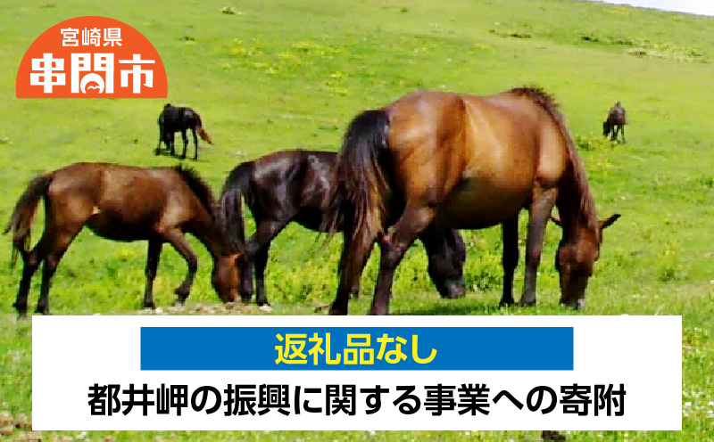 <返礼品なし>　1口100,000円　都井岬の振興に関する事業への寄附_K052-003-12