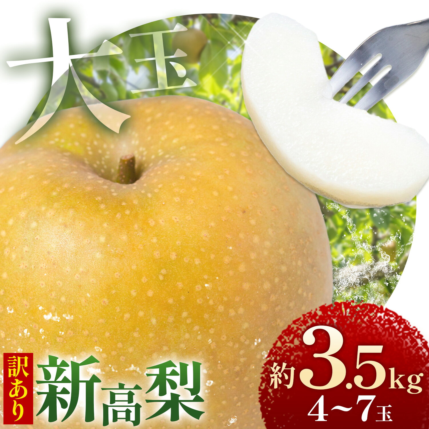 【ふるさと納税】 梨 訳あり 新高梨 約3.5kg 4～7玉 38果樹園《9月下旬-9月末頃出荷》熊本県 長洲町 なし ナシ にいたかなし 大玉 果物 フルーツ