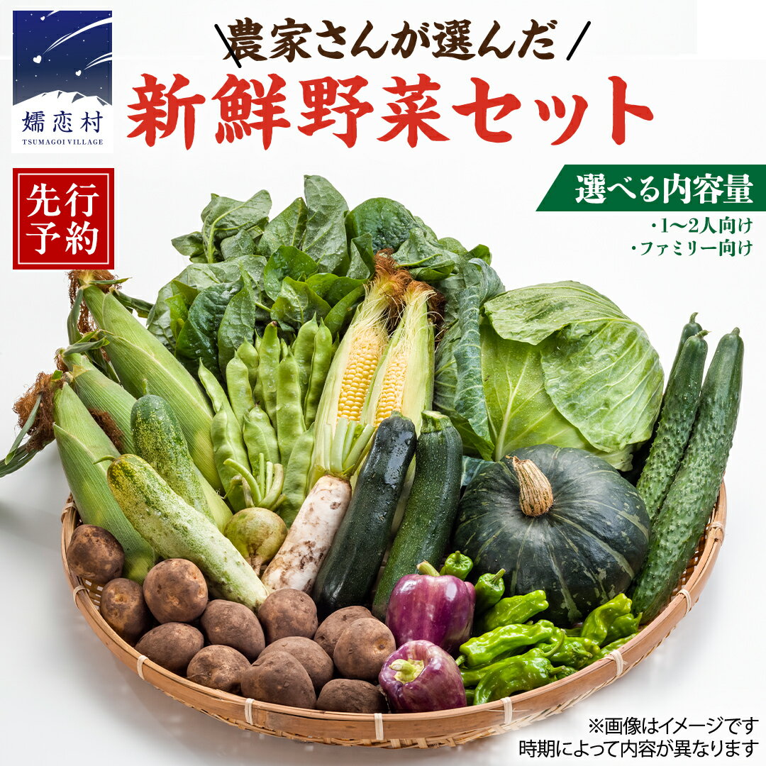 【ふるさと納税】 ≪ レビューキャンペーン ≫ ＜選べる内容量＞【 2025年 8月上旬 発送開始 】嬬恋キャベツ 入り！農家さんが選んだ 新鮮 高原 野菜 セット 先行予約 キャベツ 群馬 野菜 セット 産地直送 詰め合わせ アソート 期間限定 少量 野菜 新鮮 季節の野菜 旬の野菜