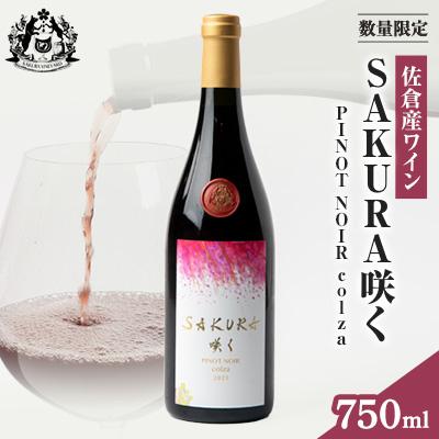 ふるさと納税 佐倉市 【数量限定】佐倉産初のワイン!ピノ・ノワール2023　750ml×1本