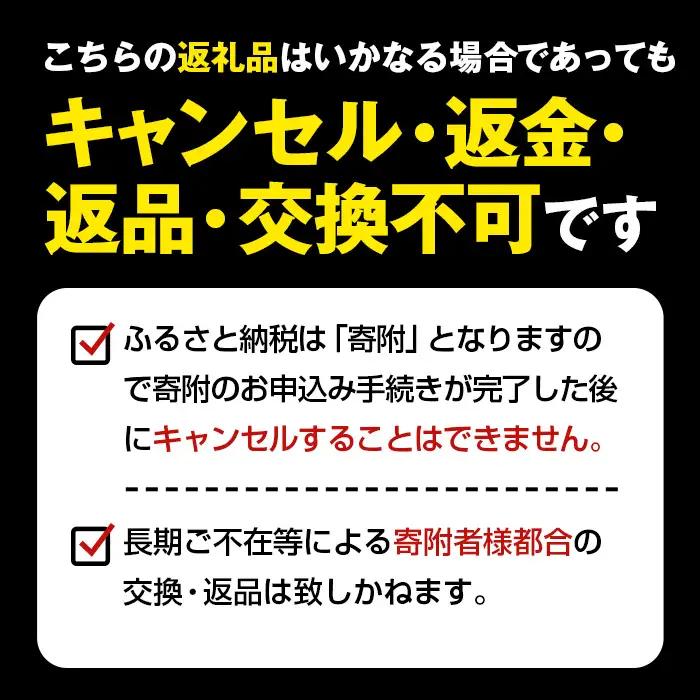 吸水マット （バスマット） テルシード No.253