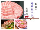 【ふるさと納税】 【 近江牛【瑠璃色の会】全10回】 肉 牛肉 ブランド牛 三大和牛 和牛 黒毛和牛 贈り物 ギフト プレゼント 滋賀県 竜王