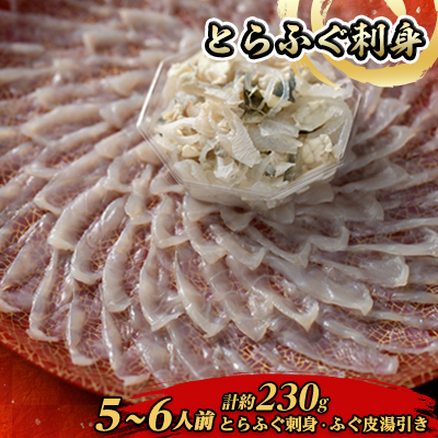 とらふぐ刺身5-6人前【配送不可地域：離島】【1492142】