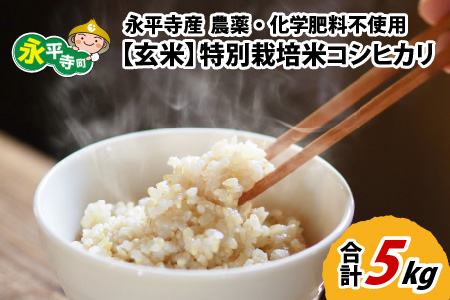 【先行予約】【玄米】 令和6年度産 永平寺町産 農薬不使用・化学肥料不使用 特別栽培米 コシヒカリ 5kg ＊2025年1月20日前後以降発送開始予定[B-033056]