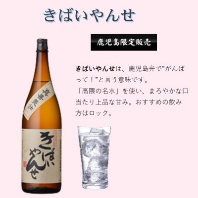 鹿児島限定販売の焼酎 3銘柄 1800ml×3本 B5-3【配送不可地域：離島】