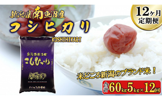 【令和6年産新米予約／令和6年11月上旬より順次発送】【A-12定期便】南魚沼産コシヒカリ5kg×12回