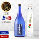 【ふるさと納税】【数量限定！本格麦焼酎2本セット】長崎・五島列島酒造 五島麦720ml・五島椿500mlセット Alc.25% 23% お酒 焼酎 麦 五島市/五島列島酒造 [PAH004]