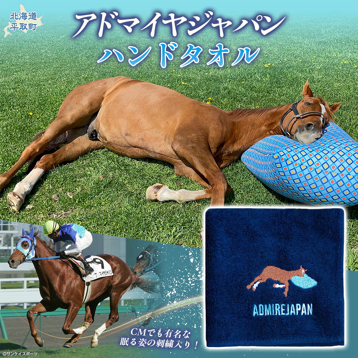 【ふるさと納税】【アドマイヤジャパン×Yogibo】ハンドタオル【ふるさと納税 人気 おすすめ ランキング 馬 競馬 競走馬 引退馬 アドマイヤジャパン 日高 北海道 平取町 送料無料】 BRTV041