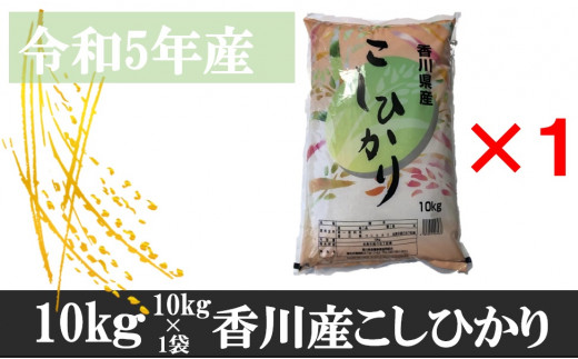 996-6　令和5年産香川県産こしひかり　10ｋｇ×1　紙袋配送【6月配送】