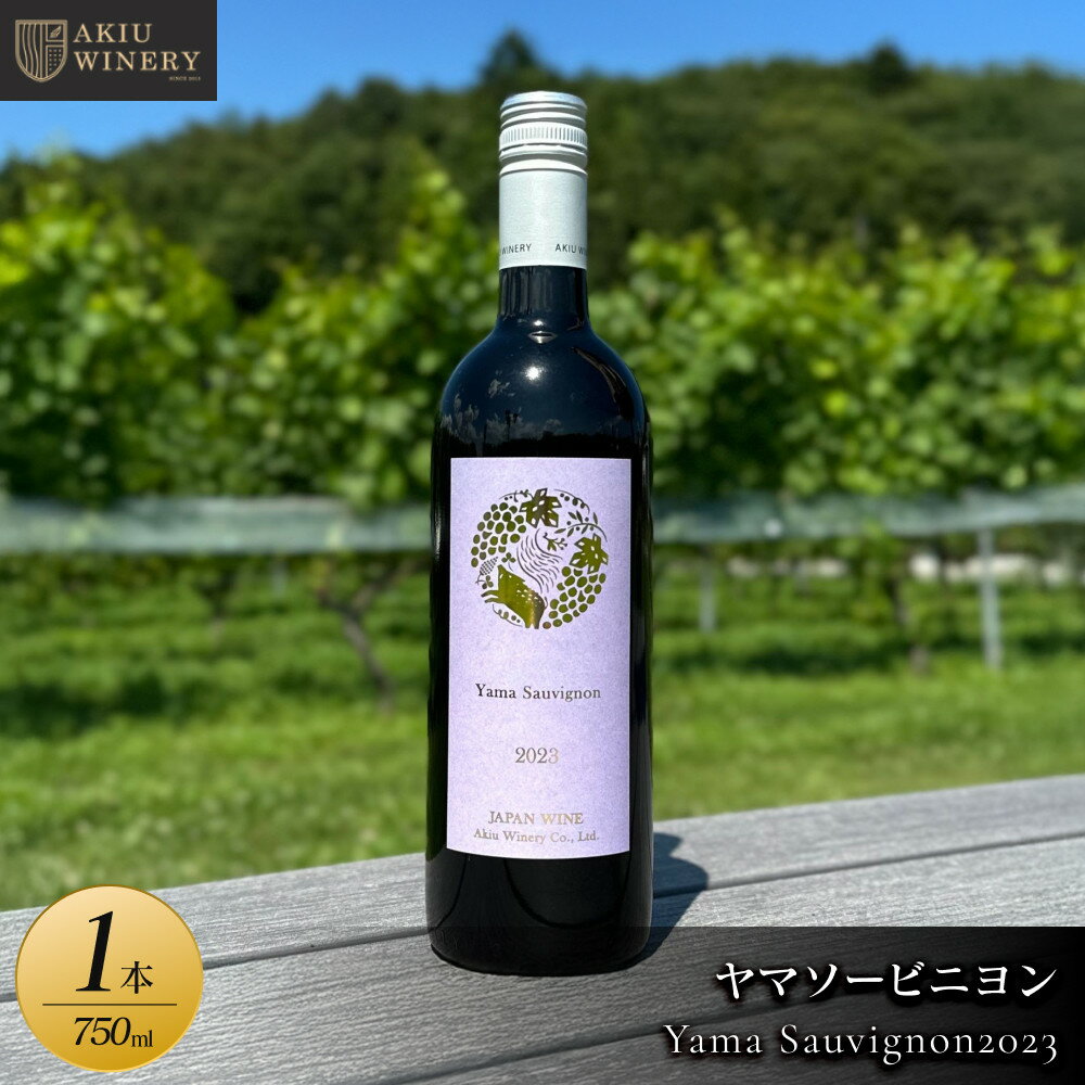 【ふるさと納税】ヤマソービニヨンYama Sauvignon2023　750ml×1本【赤ワイン お酒 アルコール アルコール飲料 晩酌 家飲み 宅飲み 飲み会 集まり バーベキュー BBQ イベント 飲み物】 | お酒 さけ 人気 おすすめ ギフト シードル　ワイン