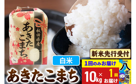 《令和7年産 新米受付》あきたこまち 精米 10kg 秋田県産 こまちライン