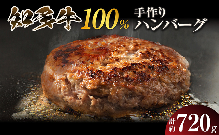 知多牛100％手作りハンバーグ　120g×6個入り
