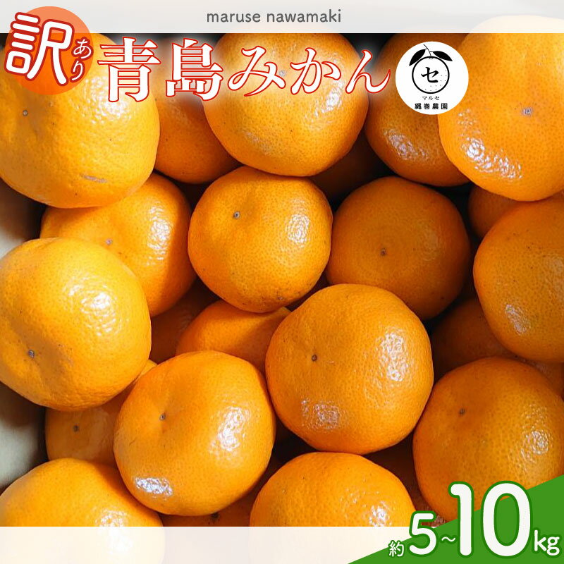 【ふるさと納税】 訳あり 青島みかん 5kg ～ 10kg 選べる 容量 みかん 青島 みかん 先行予約 2027年 12月 中旬 から 発送 ミカン 蜜柑 柑橘 果物 フルーツ 数量限定 果汁 果実 農家直送 ギフト 贈答 美味しい 国産 静岡みかん 牧之原みかん マルセ縄巻農園 牧之原市 静岡県