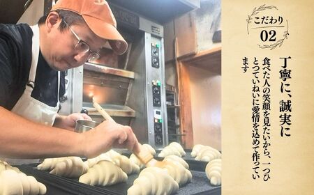 ＜12ヵ月定期便＞茨城県産小麦粉「ゆめかおり」を使用した こだわりのパン詰め合せ9種 全12回 | 茨城県 龍ケ崎市 食パン メロンパン カレーパン ベーグル コッペパン あんぱん クロワッサン 発酵