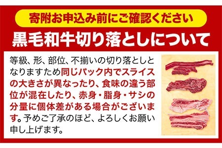 牛肉 肉 黒毛和牛 切り落とし 訳あり 大容量 小分け 3kg 250g × 12《60日以内に出荷予定(土日祝除く)》岡山県産 岡山県 笠岡市 お肉 にく カレー 牛丼 切り落し 切落し