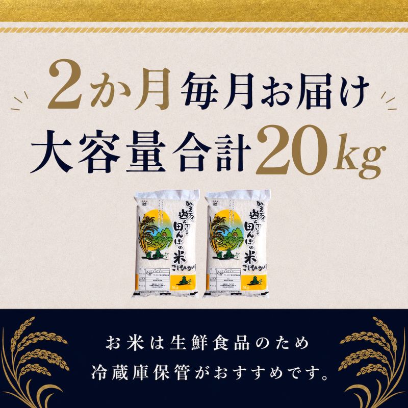【定期2ヶ月】コシヒカリ　白米　10kg（5kg×2）令和7年産 お米 銘柄米 ご飯 おにぎり お弁当 和食 食卓 精米 国産 千葉県産 産地直送 