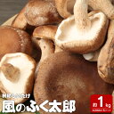 【ふるさと納税】神栖市 しいたけ 風のふくたろう 1kg 200g×5袋 きのこ 椎茸 菌床 茨城県 神栖市 送料無料