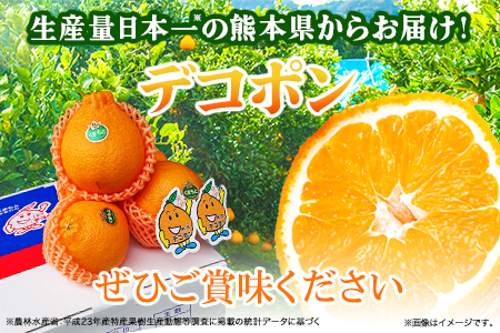 デコポン 約3kg 不知火 フレッシュフーズ デコポン