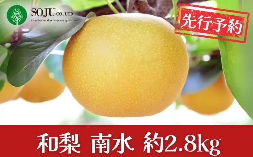 先行予約 和梨 南水 約2.8kg 2026年産 令和8年度 南水 樹上完熟日本梨 新潟県 三条市産 南水梨 なんすい [三条果樹専門家集団]【010S497】