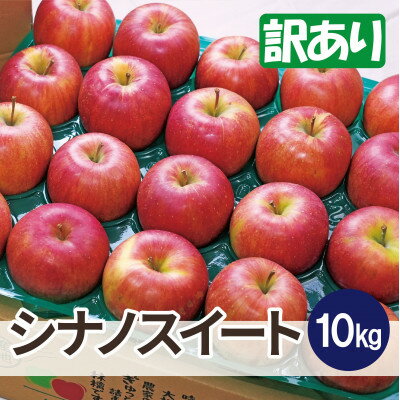 【ふるさと納税】【25年12月出荷予定】平均糖度13度以上! シナノスイート 約10kg 訳あり【配送不可地域：離島・沖縄県】【1668006】