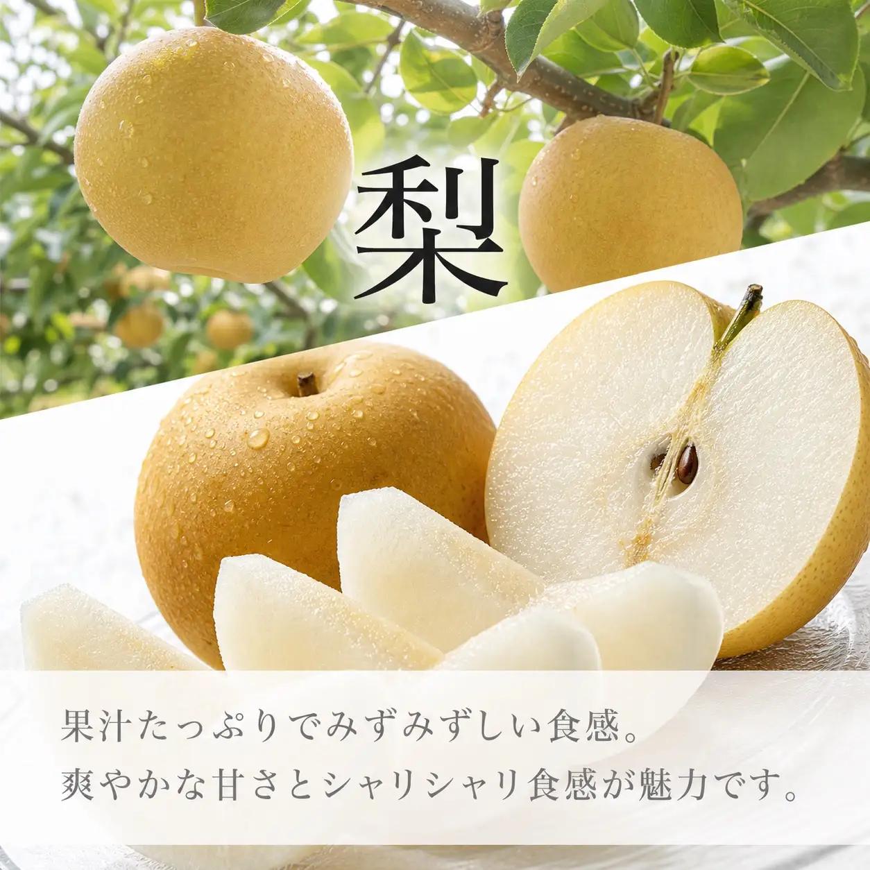 定期便【全2回/8・9月】かつらぎ町のフルーツ定期便ミニ（桃・梨）【tkb427】