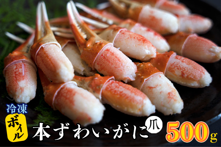 
ボイル 本ずわいがに 爪 500g×1 カジマ ずわい蟹 ズワイガニ ずわいがに かに カニ 蟹 かに爪 カニ爪
