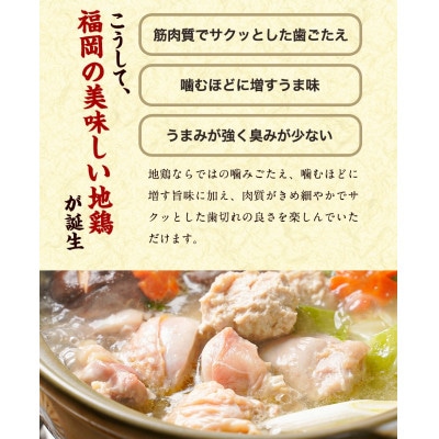 福岡限定!はかた地どり美人水炊き5種セット　2～3人前(筑後市)【配送不可地域：離島】