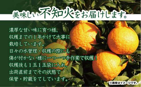 こだわり農家の 秀品 不知火 18玉  蜜柑 みかん ミカン 果物 フルーツ ギフト 贈り物 プレゼント 柑橘 くだもの 【2025年4月上旬より発送開始予定】